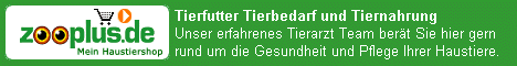 Unser erfahrenes Team ber&auml;t Sie gern